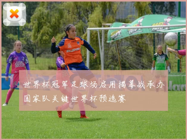 世界杯冠军足球场启用揭幕战承办国家队关键世界杯预选赛