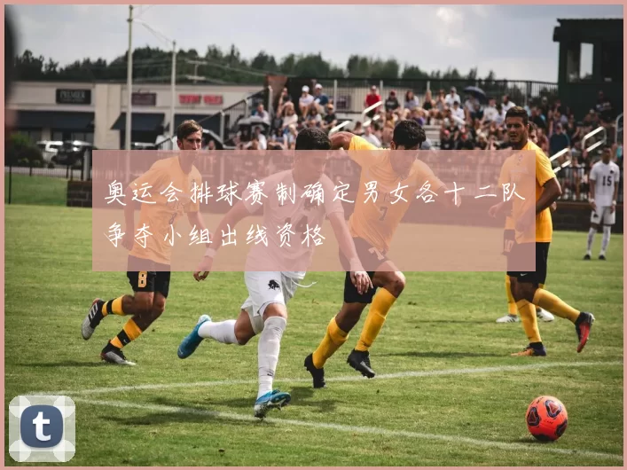 奥运会排球赛制确定男女各十二队争夺小组出线资格