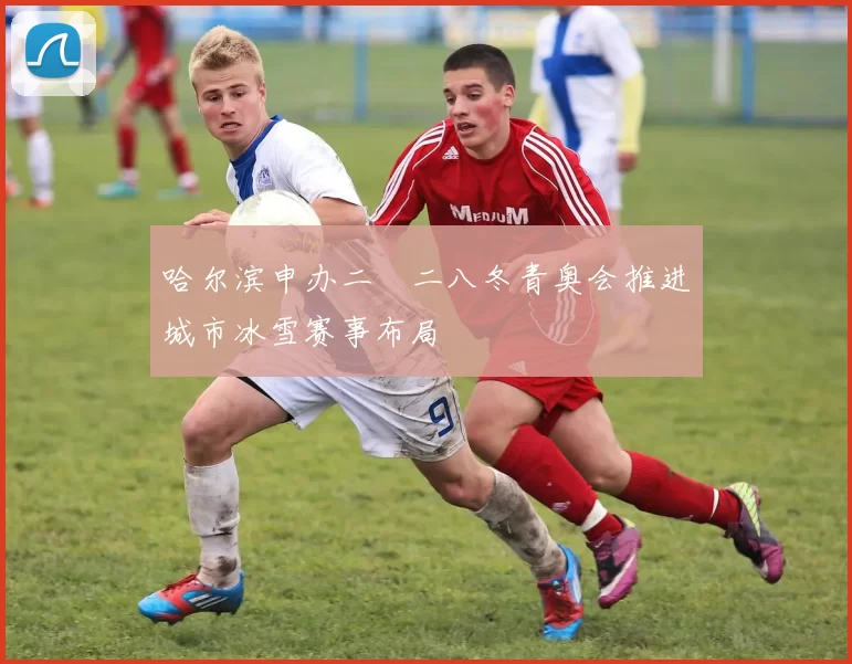 哈尔滨申办二〇二八冬青奥会推进城市冰雪赛事布局