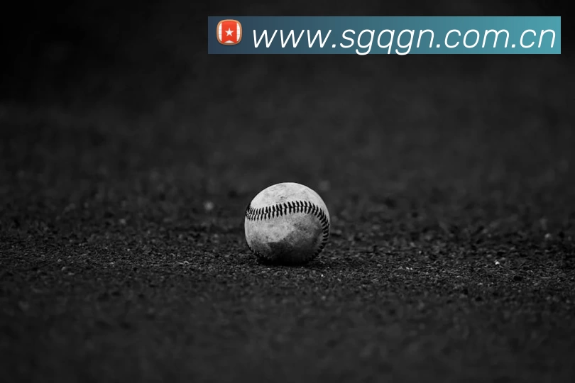 MG冰球突破官网APP 高清赛事图